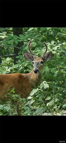 1835 Rock Springs Road, Wright City, MO 63390