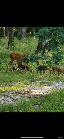 1835 Rock Springs Road, Wright City, MO 63390