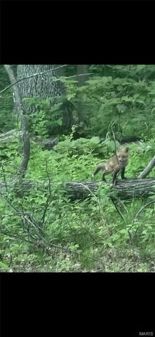 1835 Rock Springs Road, Wright City, MO 63390