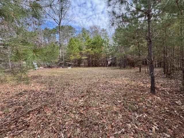 2226 Wells Landing Road, Onalaska, TX 77360