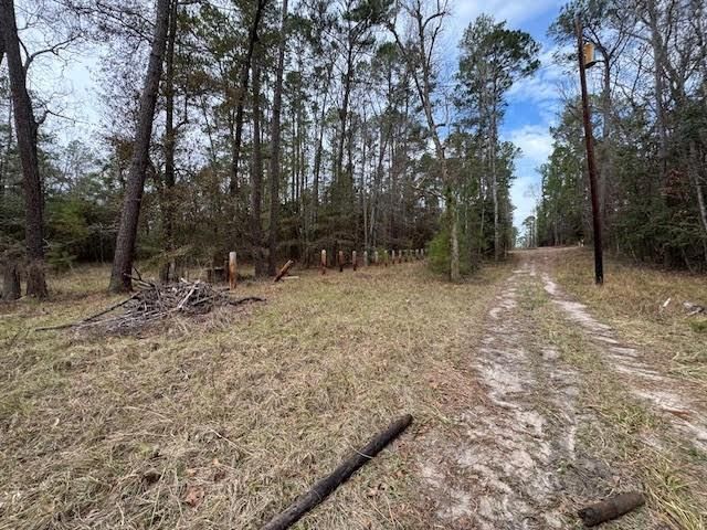 2226 Wells Landing Road, Onalaska, TX 77360