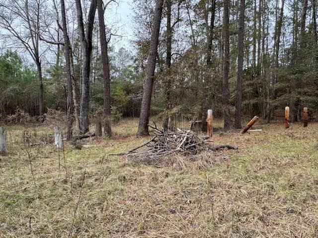 2226 Wells Landing Road, Onalaska, TX 77360