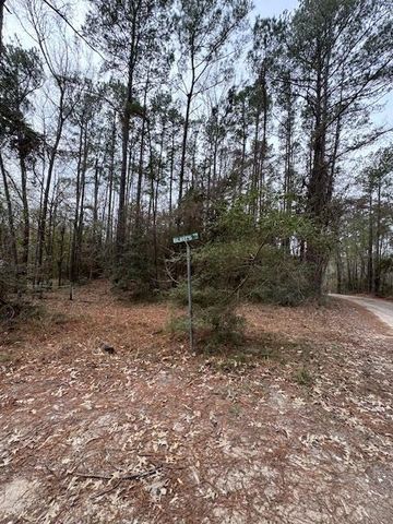 2226 Wells Landing Road, Onalaska, TX 77360