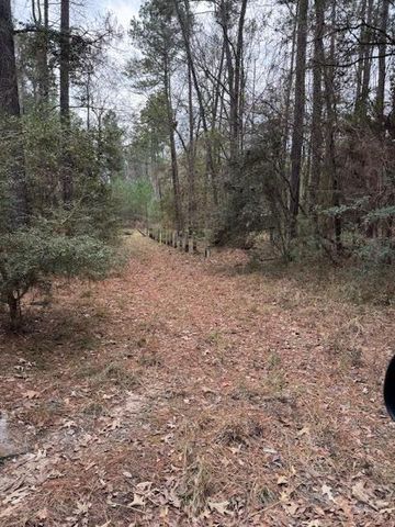 2226 Wells Landing Road, Onalaska, TX 77360