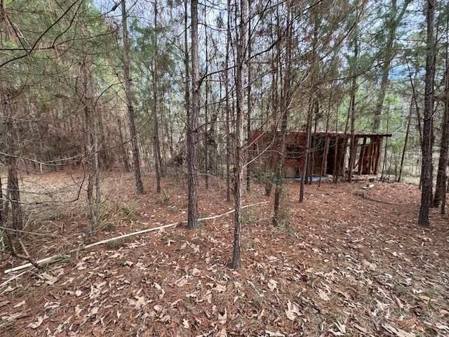 2226 Wells Landing Road, Onalaska, TX 77360