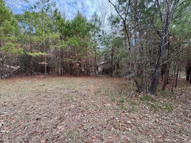 2226 Wells Landing Road, Onalaska, TX 77360
