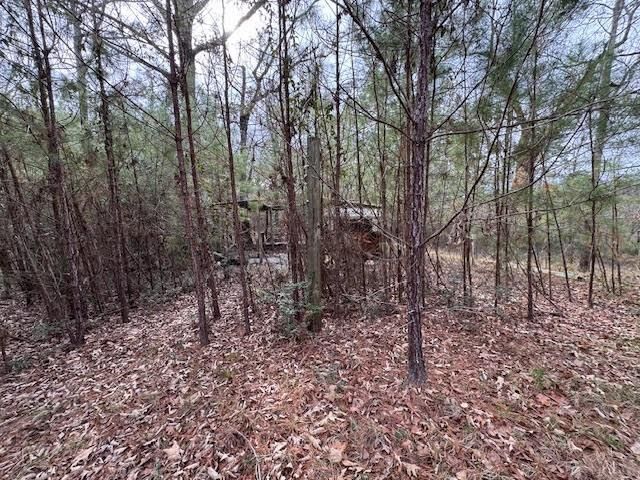 2226 Wells Landing Road, Onalaska, TX 77360