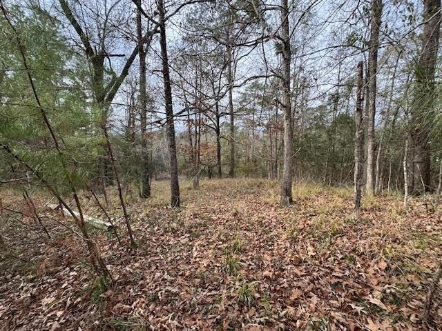 2226 Wells Landing Road, Onalaska, TX 77360