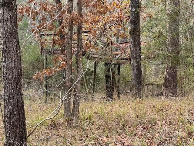 2226 Wells Landing Road, Onalaska, TX 77360