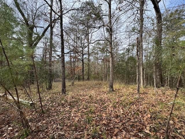 2226 Wells Landing Road, Onalaska, TX 77360