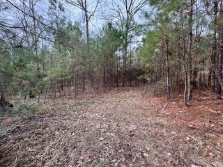 2226 Wells Landing Road, Onalaska, TX 77360