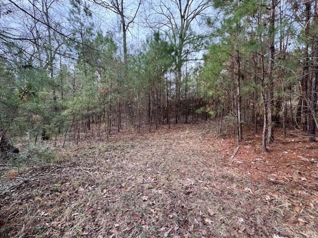 2226 Wells Landing Road, Onalaska, TX 77360