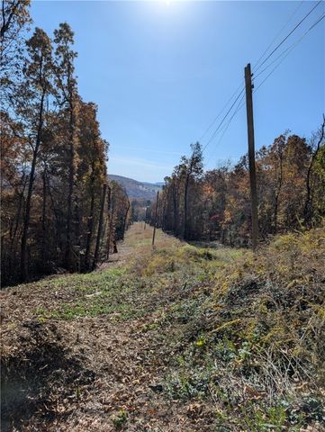 667 NC 2800, Marble Falls, AR 72648