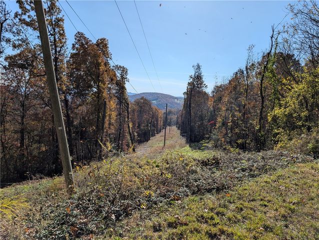 667 NC 2800, Marble Falls, AR 72648