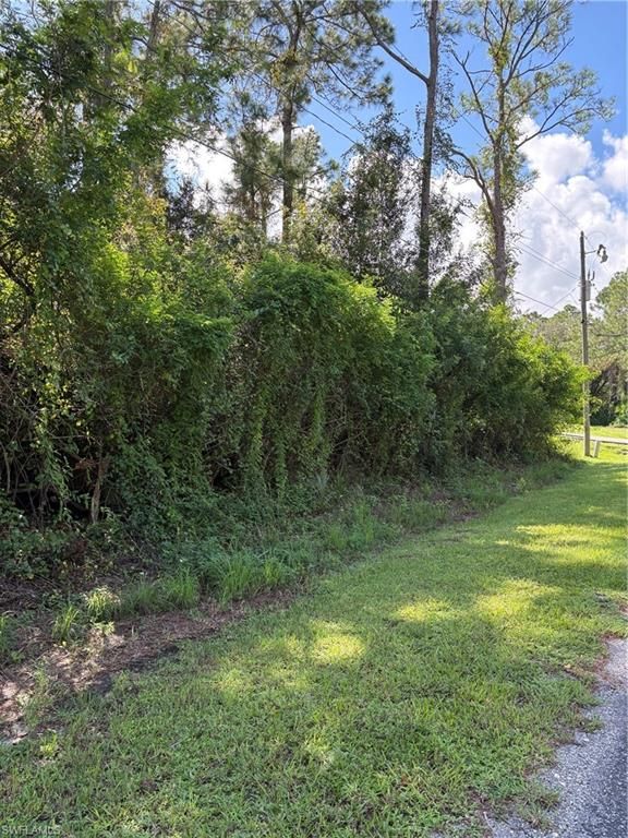 2008 Johns AVE, ALVA, FL 33920 — exterior