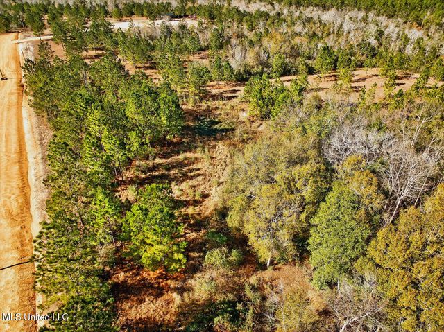 43 Parker Road, Perkinston, MS 39573