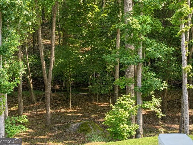 133 Fort Gibson Court, Waleska, GA 30183
