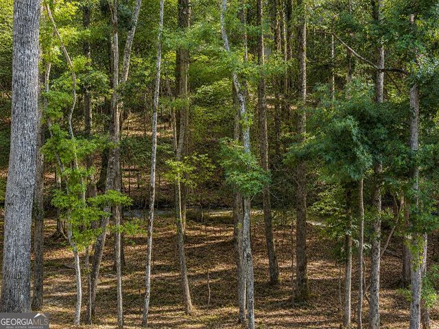 133 Fort Gibson Court, Waleska, GA 30183