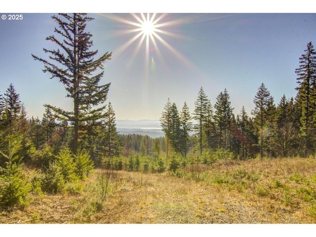 Ne Hancock Rd 1, Camas, WA 98607