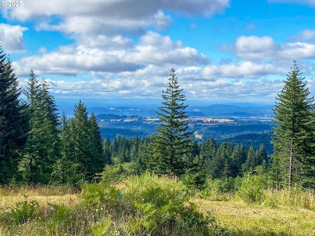 Ne Hancock Rd 1, Camas, WA 98607