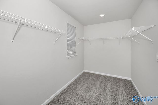 102 Gypsy Way, Toney, AL 35773