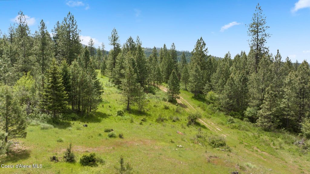 NKA S Alexanna Ln, Post Falls, ID 83854 photo 14