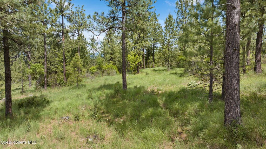 NKA S Alexanna Ln, Post Falls, ID 83854 photo 20