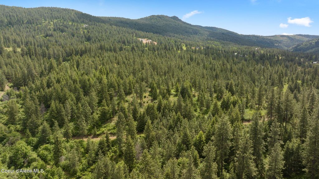 NKA S Alexanna Ln, Post Falls, ID 83854 photo 34