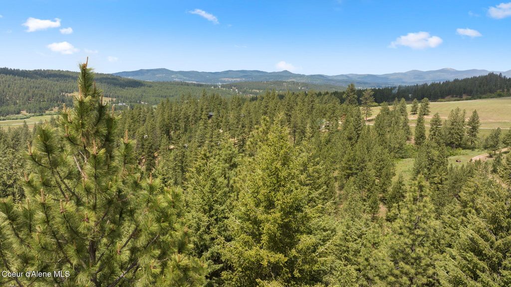 NKA S Alexanna Ln, Post Falls, ID 83854 photo 38