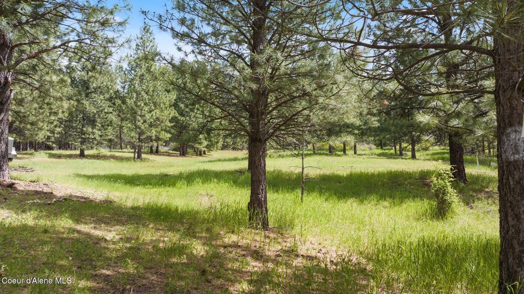 NKA S Alexanna Ln, Post Falls, ID 83854 photo 42