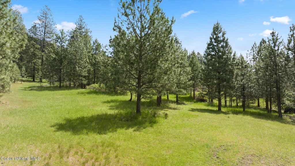 NKA S Alexanna Ln, Post Falls, ID 83854 photo 5