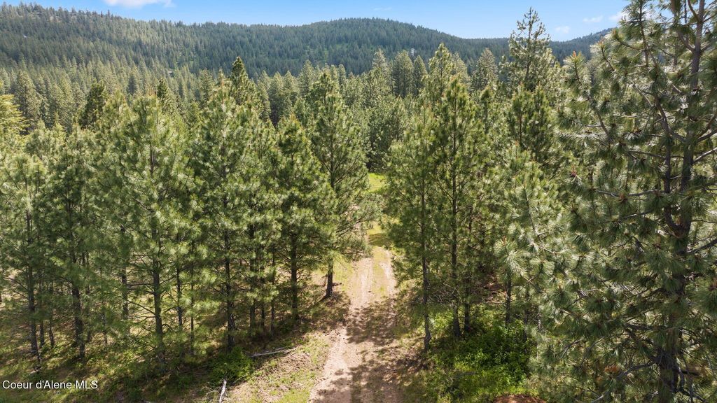 NKA S Alexanna Ln, Post Falls, ID 83854 photo 7