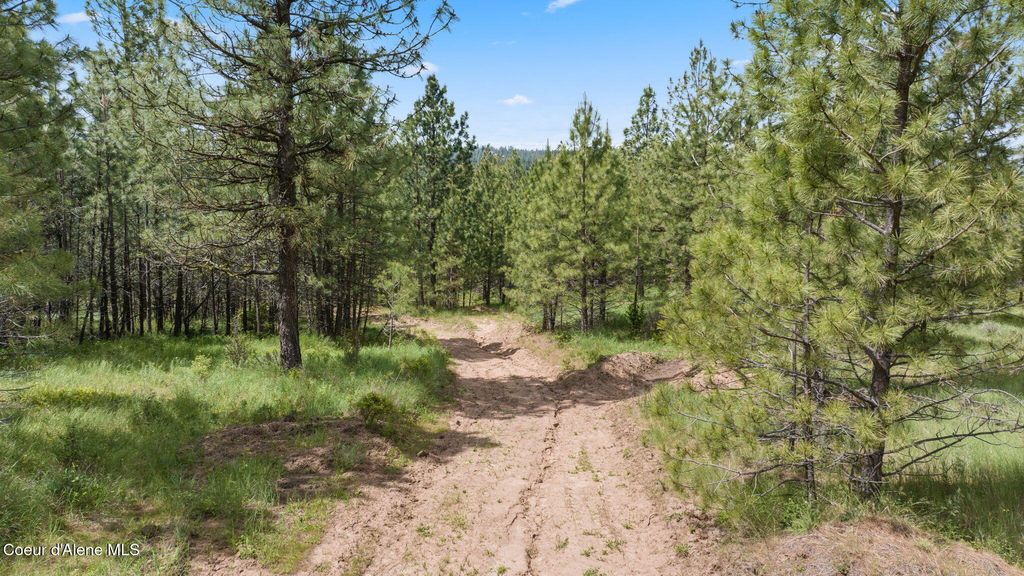 NKA S Alexanna Ln, Post Falls, ID 83854 photo 8