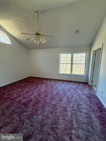 19322 OLD DANS ROCK RD, Midland, MD 21542