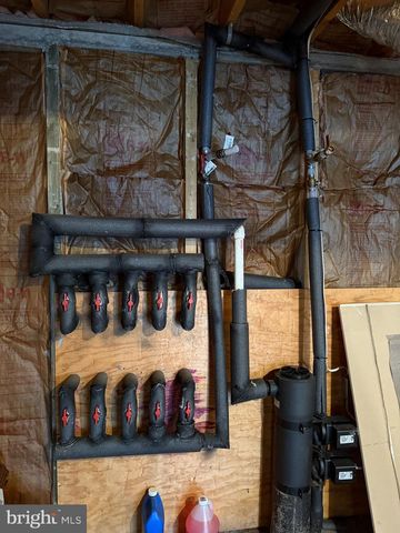 19322 OLD DANS ROCK RD, Midland, MD 21542