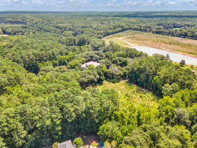 5979 Joseph Blake Lane, Wadmalaw Island, SC 29487