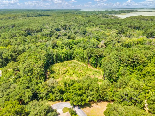 5979 Joseph Blake Lane, Wadmalaw Island, SC 29487