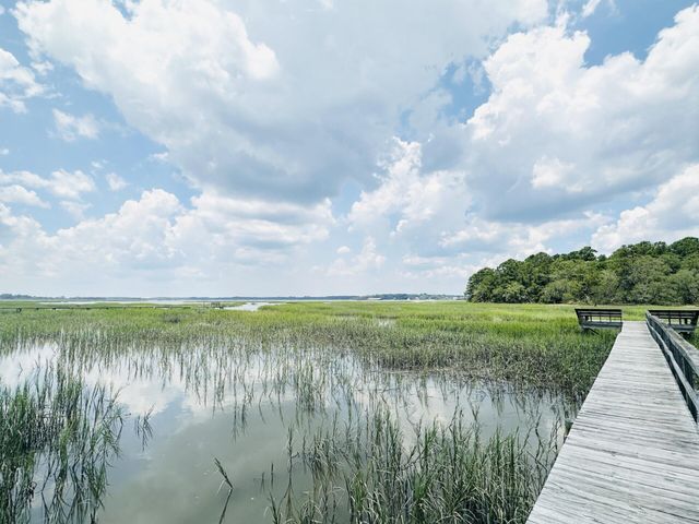 5979 Joseph Blake Lane, Wadmalaw Island, SC 29487