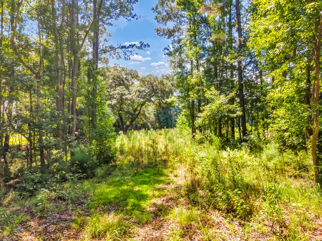 5979 Joseph Blake Lane, Wadmalaw Island, SC 29487