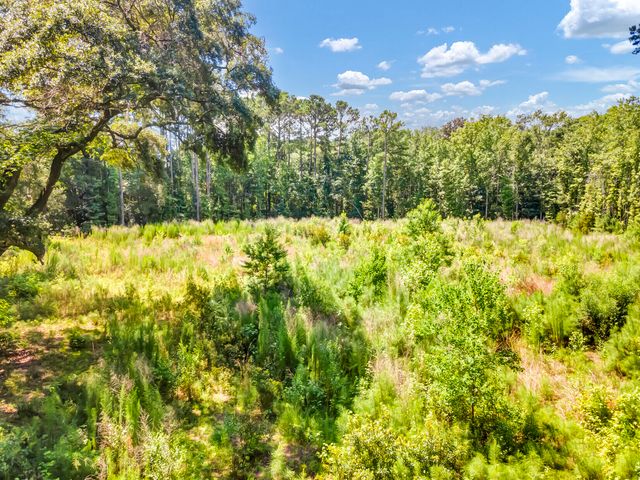 5979 Joseph Blake Lane, Wadmalaw Island, SC 29487