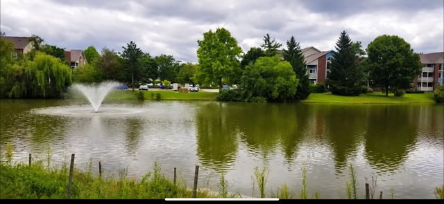 2612 PIRATES COVE 2, Schaumburg, IL 60173