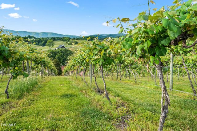 1877 Dry Hill Road, Butler, TN 37640