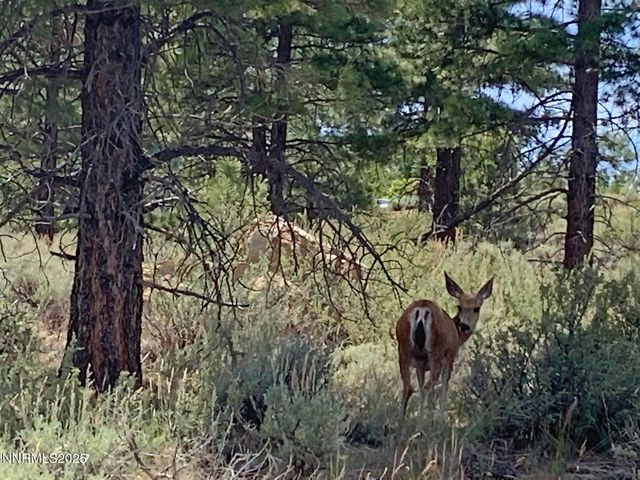 177 Nottingham Court, Reno, NV 89511