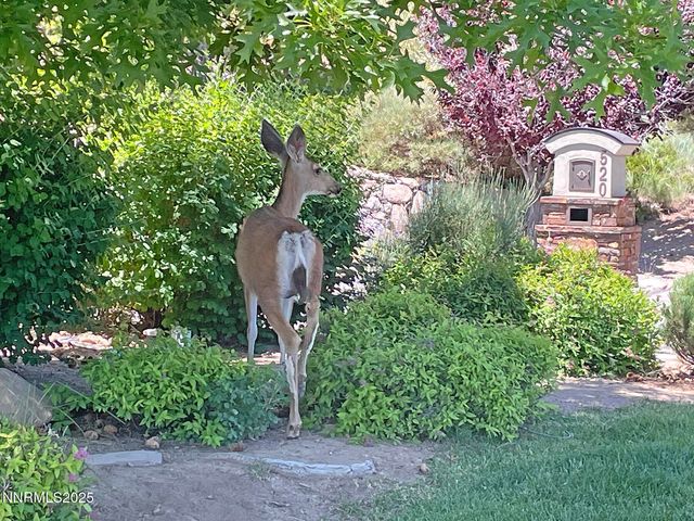 177 Nottingham Court, Reno, NV 89511