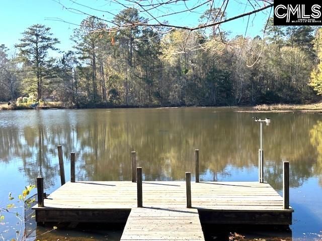 7206 Sunview Circle, Columbia, SC 29209