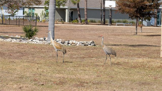 16153 ALCIRA CIRCLE, Punta Gorda, FL 33955