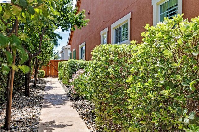 389 Havasu Ct, Brentwood, CA 94513