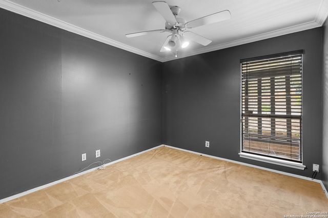 810 Clearview, San Antonio, TX 78228