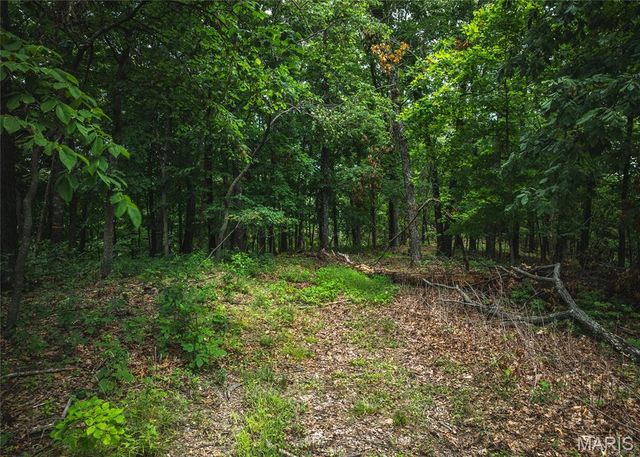 2 Trails End Trail, House Springs, MO 63051