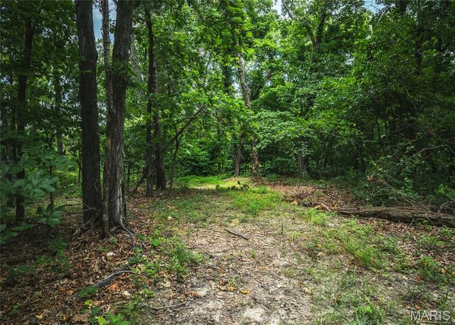 2 Trails End Trail, House Springs, MO 63051